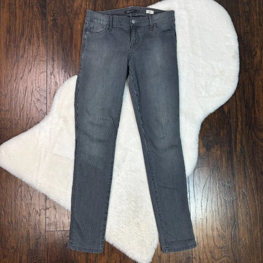 Level 99 Liza Skinny Jeans‎ 30 Striped Blue Gray Mid-Rise Stretch Women's